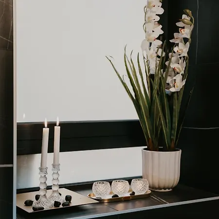 Zapato 아파트 투즐라